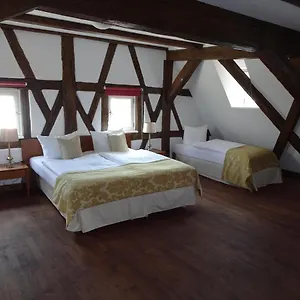*** Hotel Altstadthotel Molitor Německo